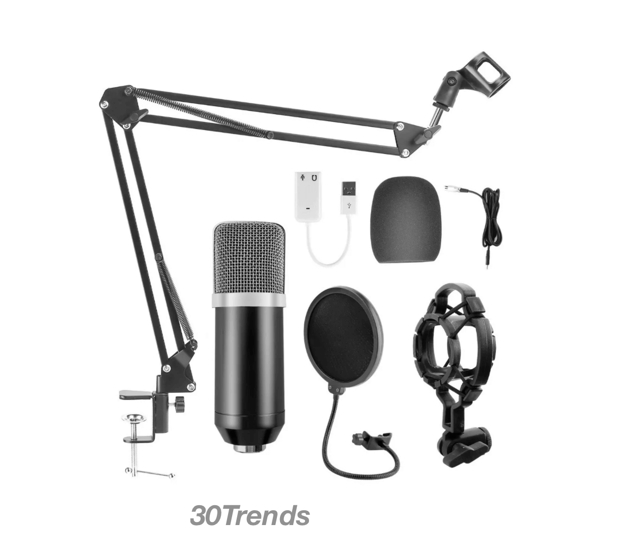 Buy microphone for podcast